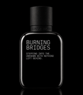 ALMOST HUMAN Burning Bridges - 2ml decant
